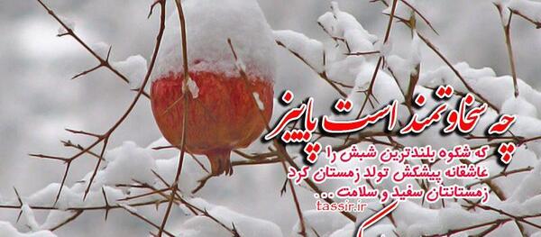 عکس پاییزی یلدایی