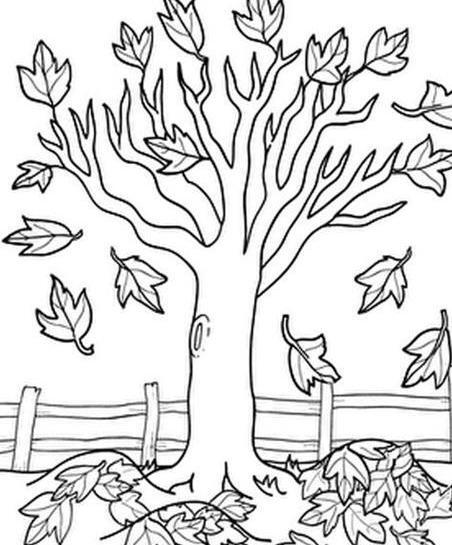 عکس نقاشی های پاییزی