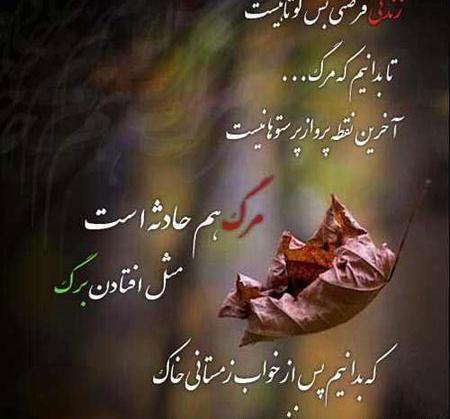 عکس نوشته دار پاییزی
