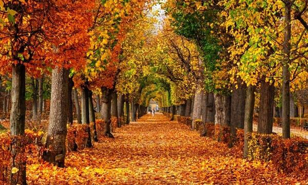 عکس متن دار پاییزی جدید