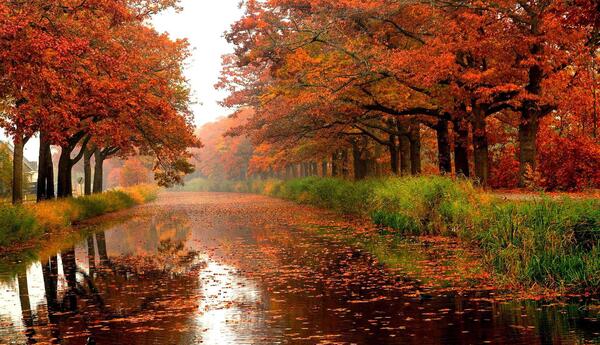 عکس پاییزی برای گروه