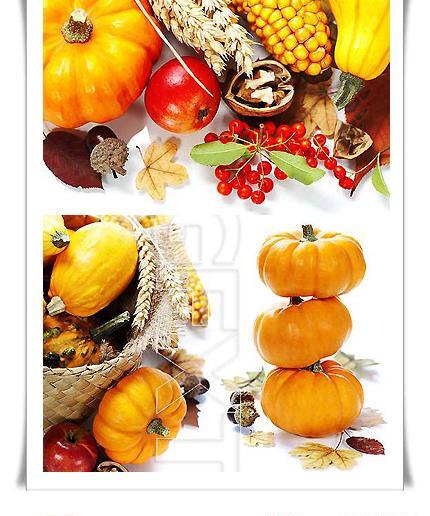 عکس پاییزی با کدو تنبل