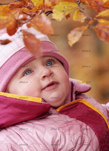 عکس های پاییزی کودکانه
