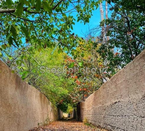 عکس کوچه های قدیمی پاییزی