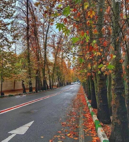 عکس کوچه های قدیمی پاییزی