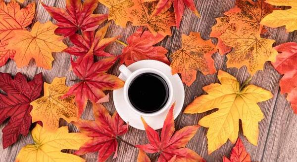 عکس پاییزی و قهوه