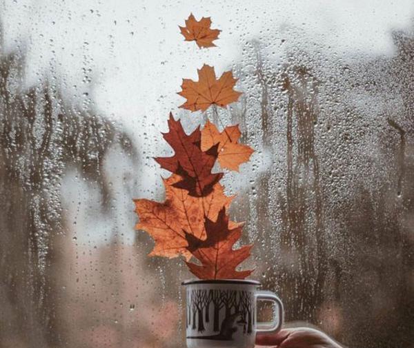 عکس پاییزی و قهوه