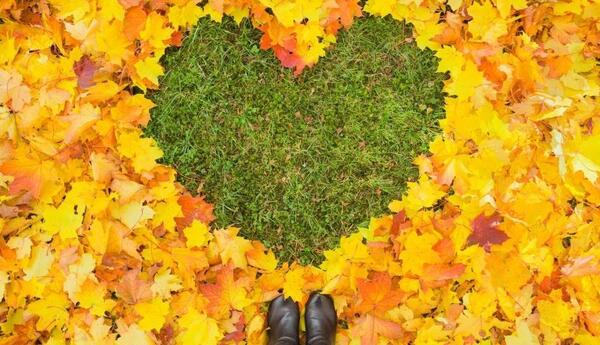 عکس قلب پاییزی جدید