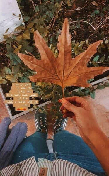 عکس برگ پاییزی فیک