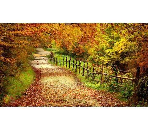 عکس شبهای پاییزی