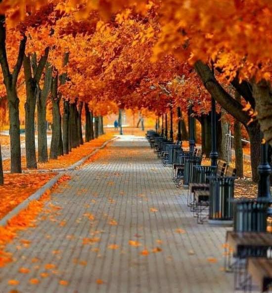 عکس شبهای پاییزی
