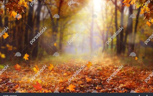 عکس طبیعت پاییزی طبیعی