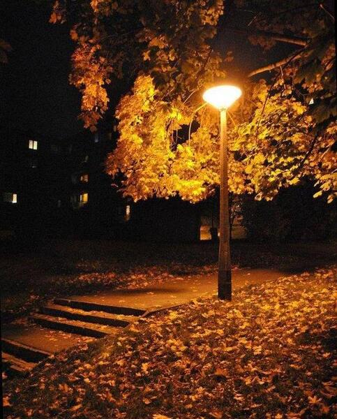 عکس زیبای شب پاییزی