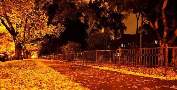 عکس زیبای شب پاییزی