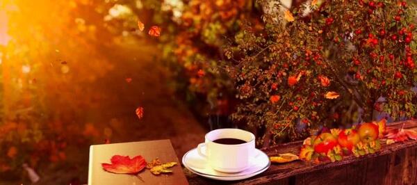 عکس سلام و صبح بخیر پاییزی