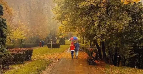 عکس پاییزی در تهران