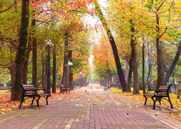 عکس پاییزی در تهران