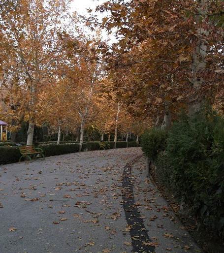 عکس های پاییزی تهران