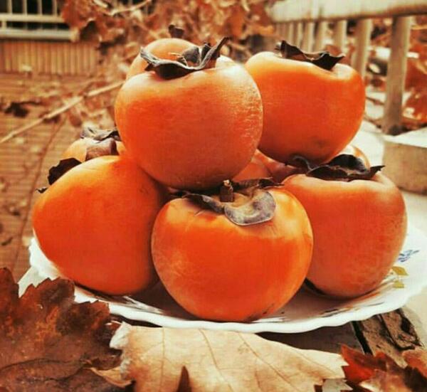 عکس خرمالو پاییزی برای پروفایل
