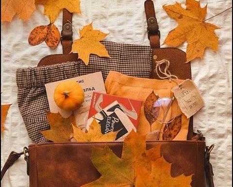 عکس خرمالو پاییزی برای پروفایل