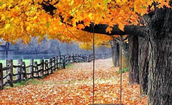 عکس های پاییزی خوشگل