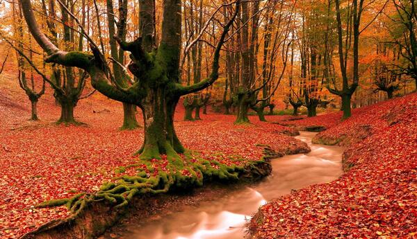 عکس های پاییزی خوشگل