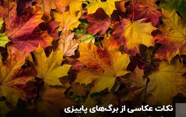 عکس های پاییزی خوشگل