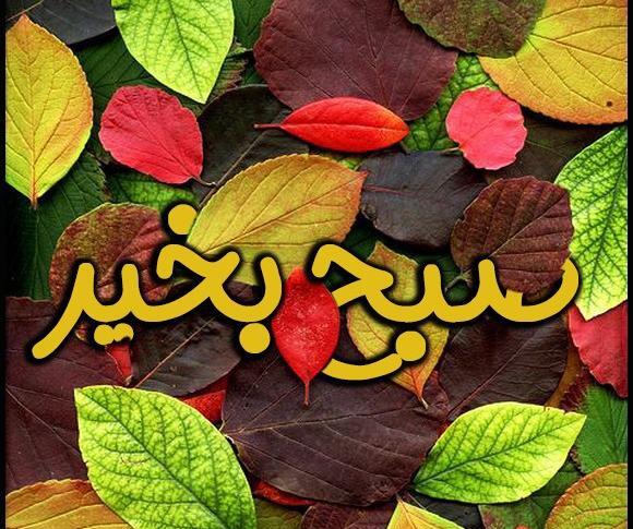 عکس پاییزی خدایا شکرت