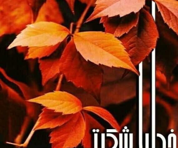 عکس پاییزی خدایا شکرت