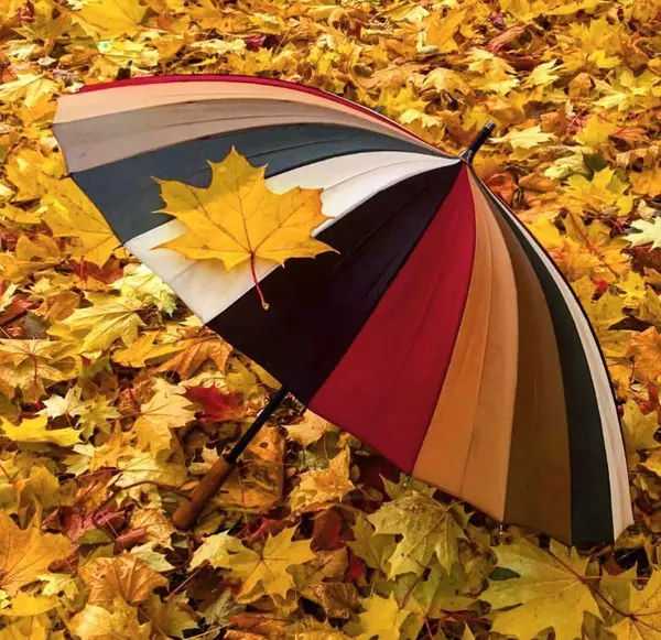 عکس تصویر زمینه پاییزی متحرک