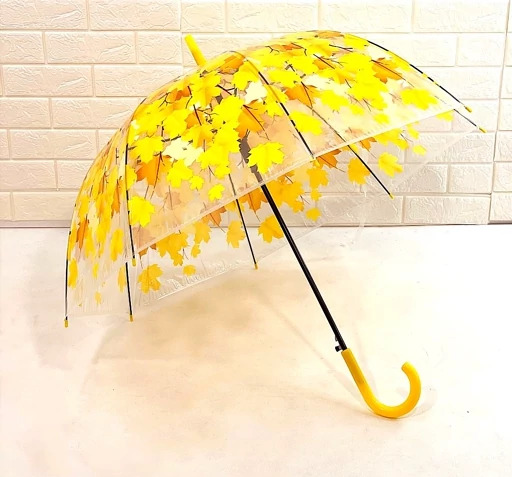 عکس چتر پاییزی