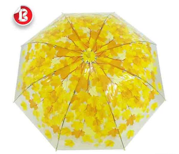 عکس چتر پاییزی