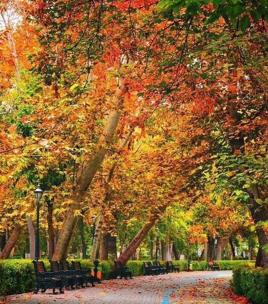 عکس هوای پاییزی تهران