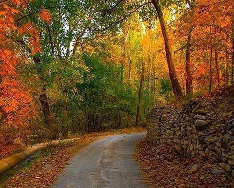 عکس های پاییزی تک نفره