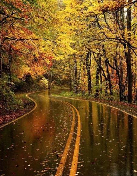 عکس هوای بارانی پاییزی