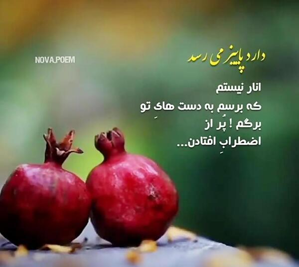 عکس نوشته انار پاییزی