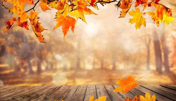 عکس طبیعت پاییزی برای استوری