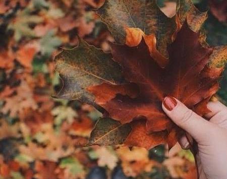 عکس پاییزی جدید دخترانه