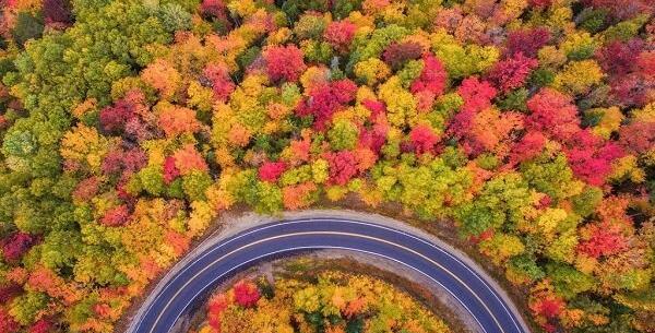 عکس از پاییز شمال