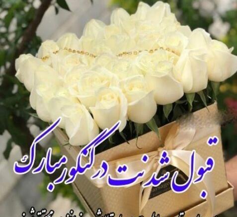 عکس تبریک برای قبولی دانشگاه