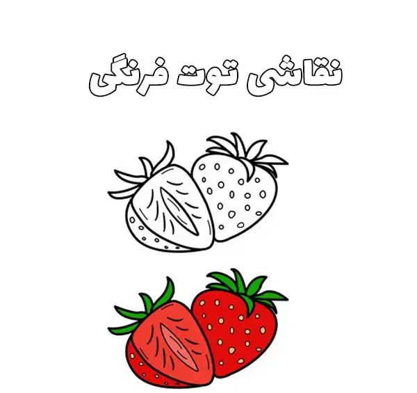 عکس توت فرنگی ساده برای نقاشی