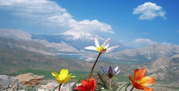 عکس روز جهانی کوهستان