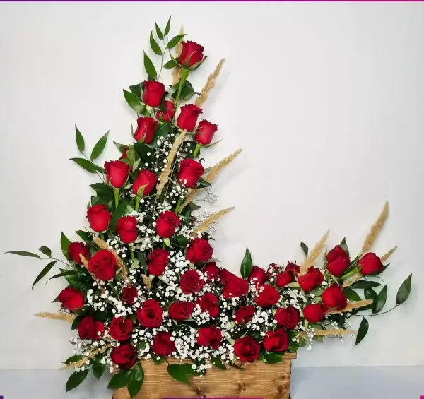 عکس گل روز خواستگاری
