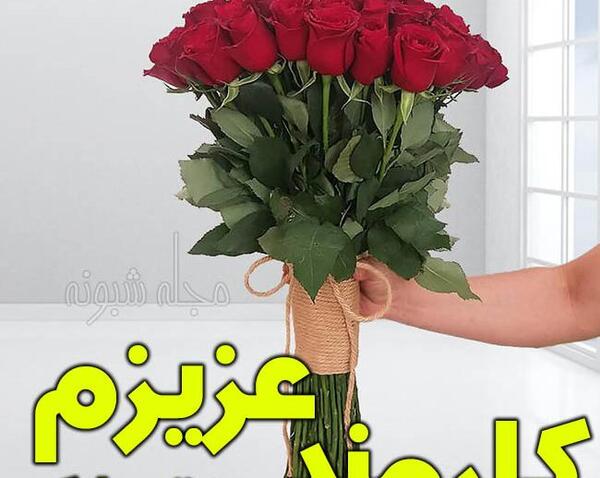 عکس روز کارمند مبارک