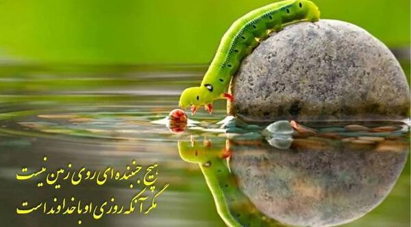عکس روزی حلال