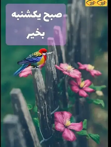 عکس سلام روز یکشنبه تون بخیر