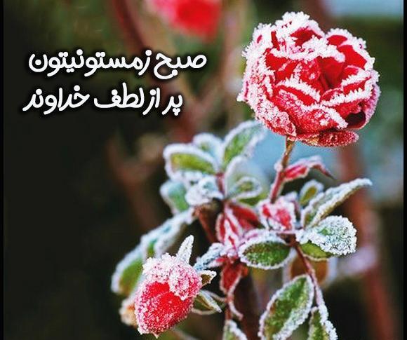 عکس سلام روز یکشنبه تون بخیر