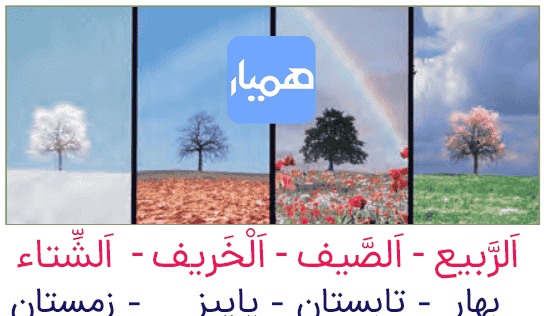 عکس روزهای هفته به عربی
