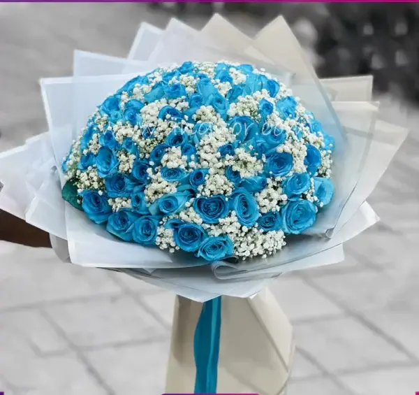 عکس گل روز آبی
