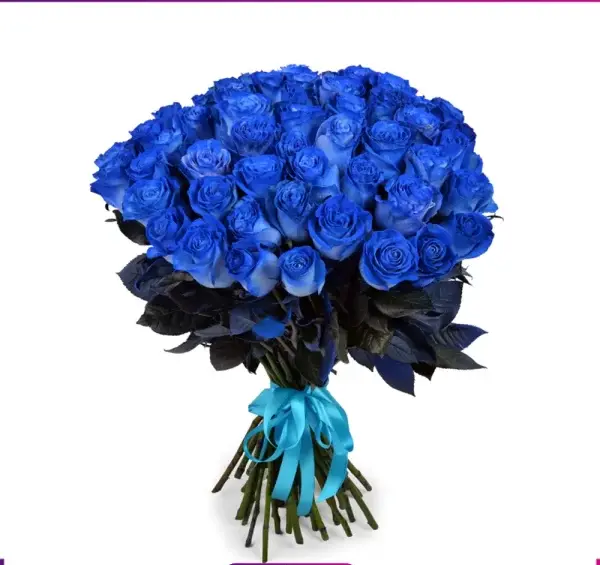 عکس گل روز آبی